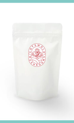 Pouch of dual-extract Reishi powder