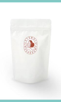 Pouch of dual-extract Chaga powder