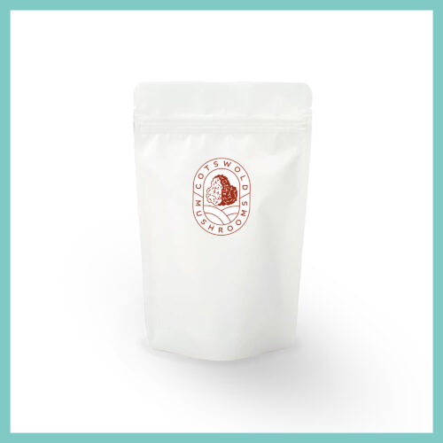 Pouch of dual-extract Chaga powder