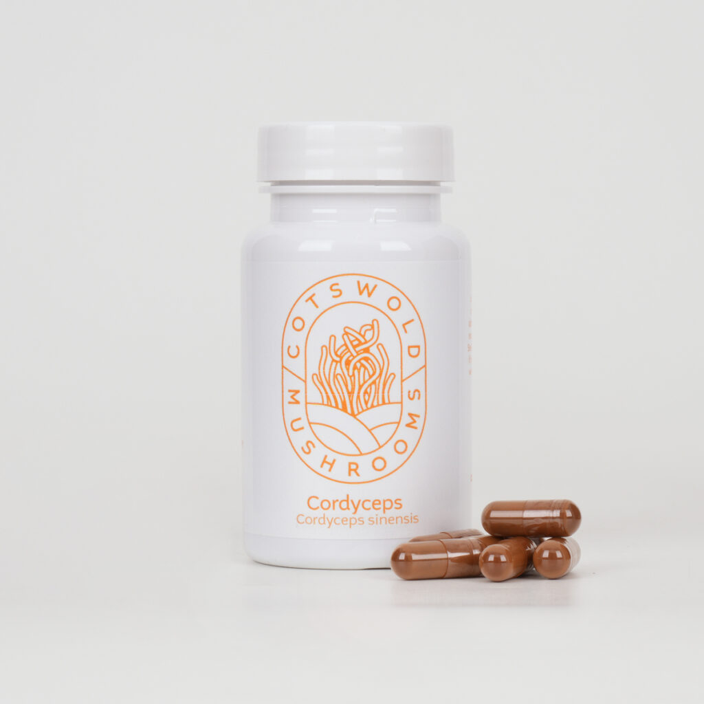 Cordyceps capsules