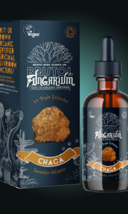 Chaga Tincture