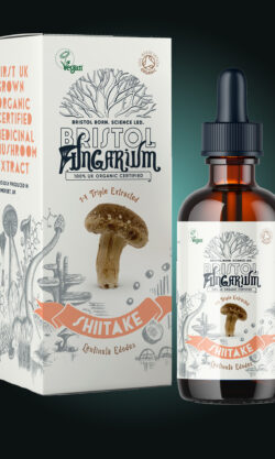 Shiitake Tincture