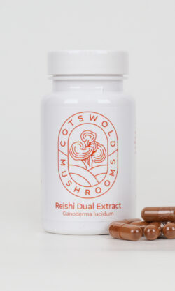 Reishi Mushroom Capsules