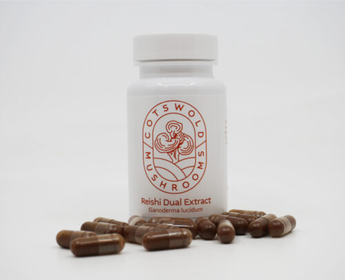 Reishi Mushroom Capsules