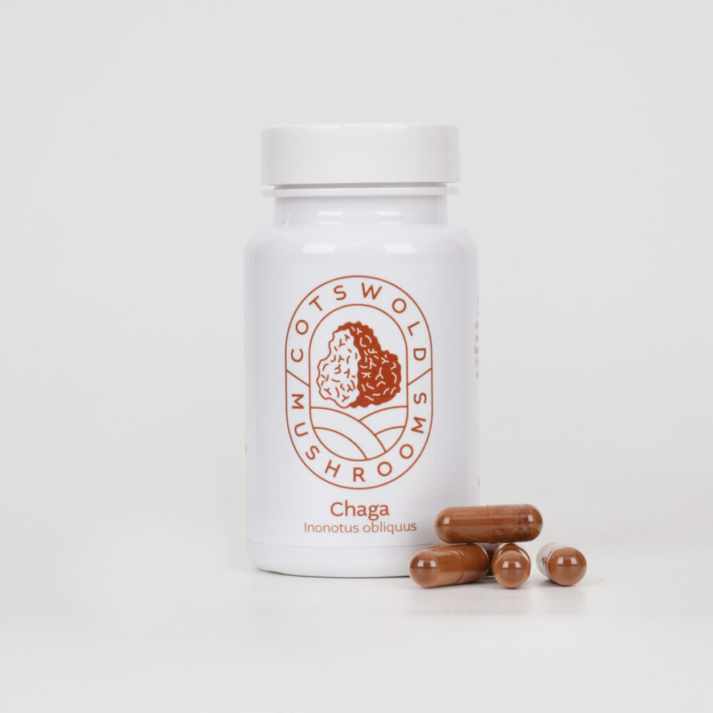 Chaga Capsules
