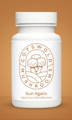 Pot of Sun Agaric medicinal mushroom capsules